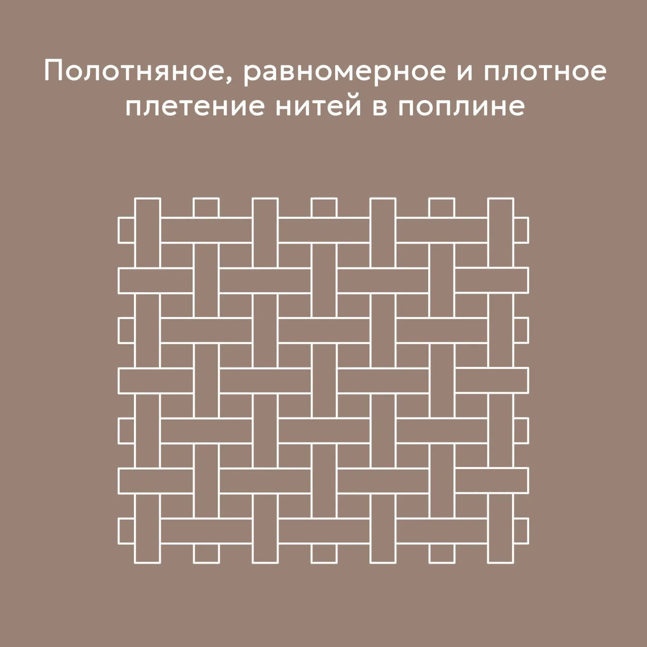 06.webp