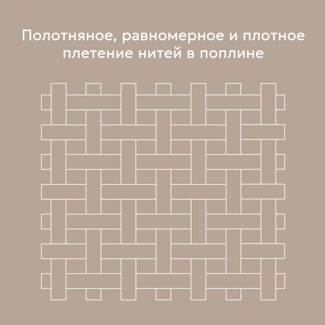 08.webp