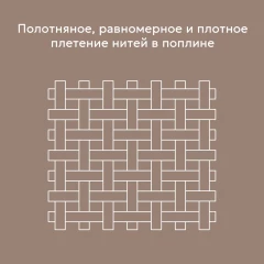 06.webp